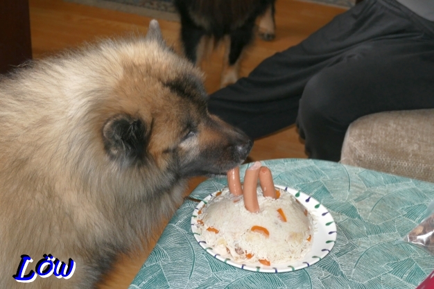 11.12.2025 - Schnapp